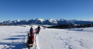 randonnée en chiens de traineau dans les pyrénées à font romeu